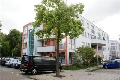 ������������� �������� � ����� ������